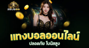 Read more about the article zeus88 ทางเข้า | เว็บตรง ปลอดภัย ฝากถอนไว ไม่มีขั้นต่ำ